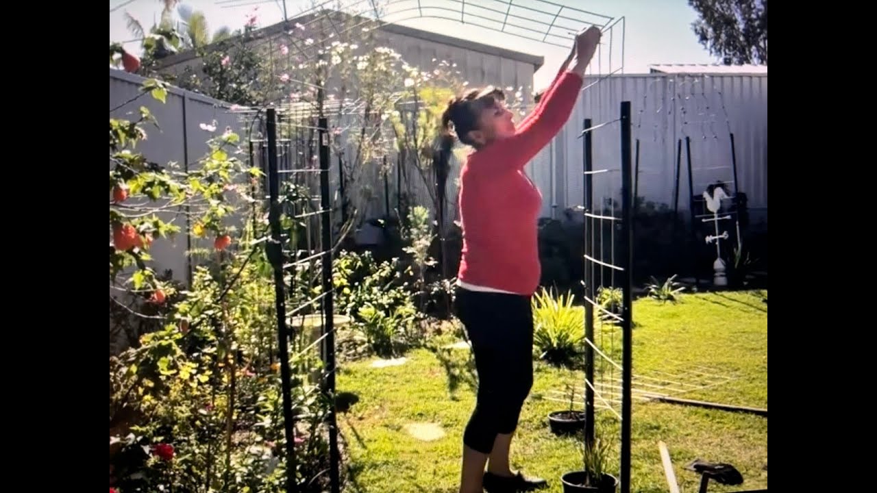 AUSTRALIA  - Ogród 4 lata temu i prawie obecnie  Filmik nagrany rok temu   Teraz wyglada lepiej .