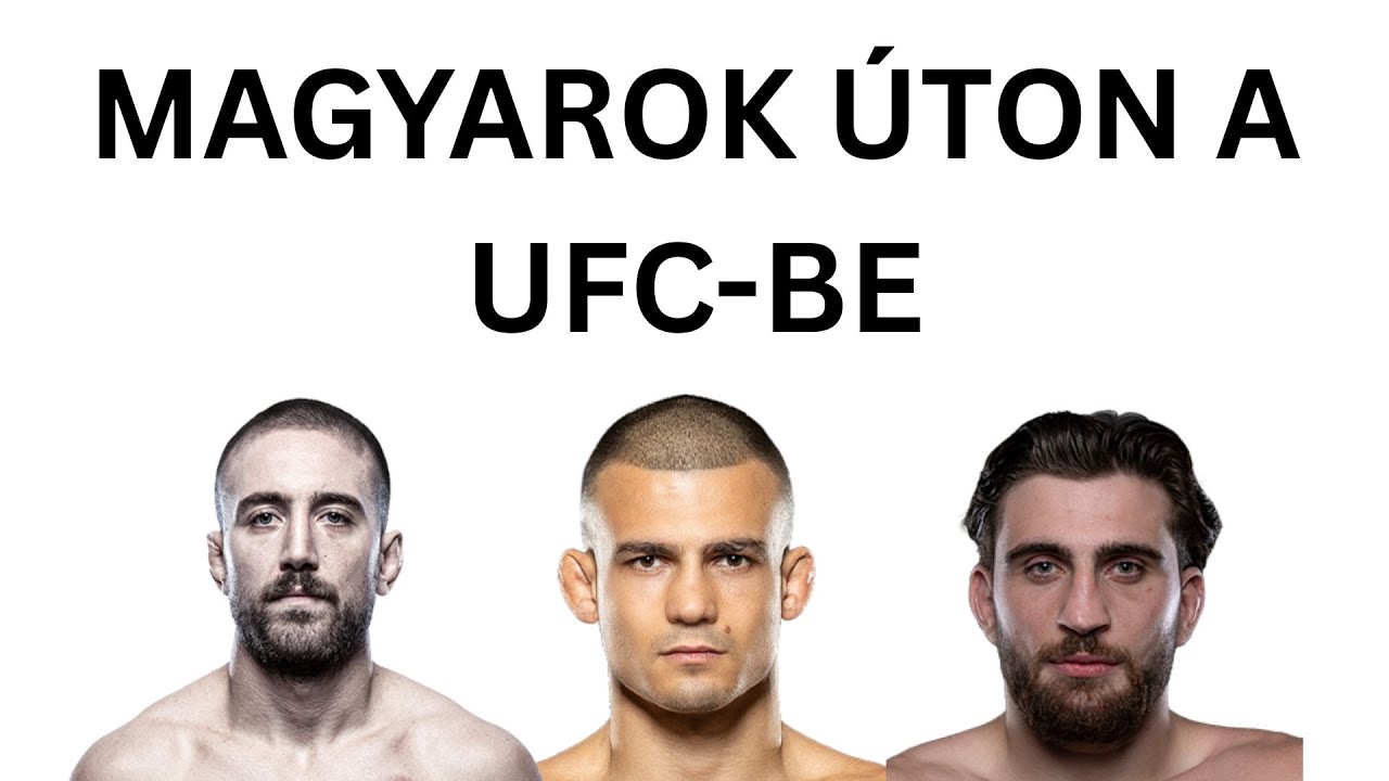 Magyar MMA helyzet: Borics Ádám, Növényi Norbert Jr., Szalay Sebastian