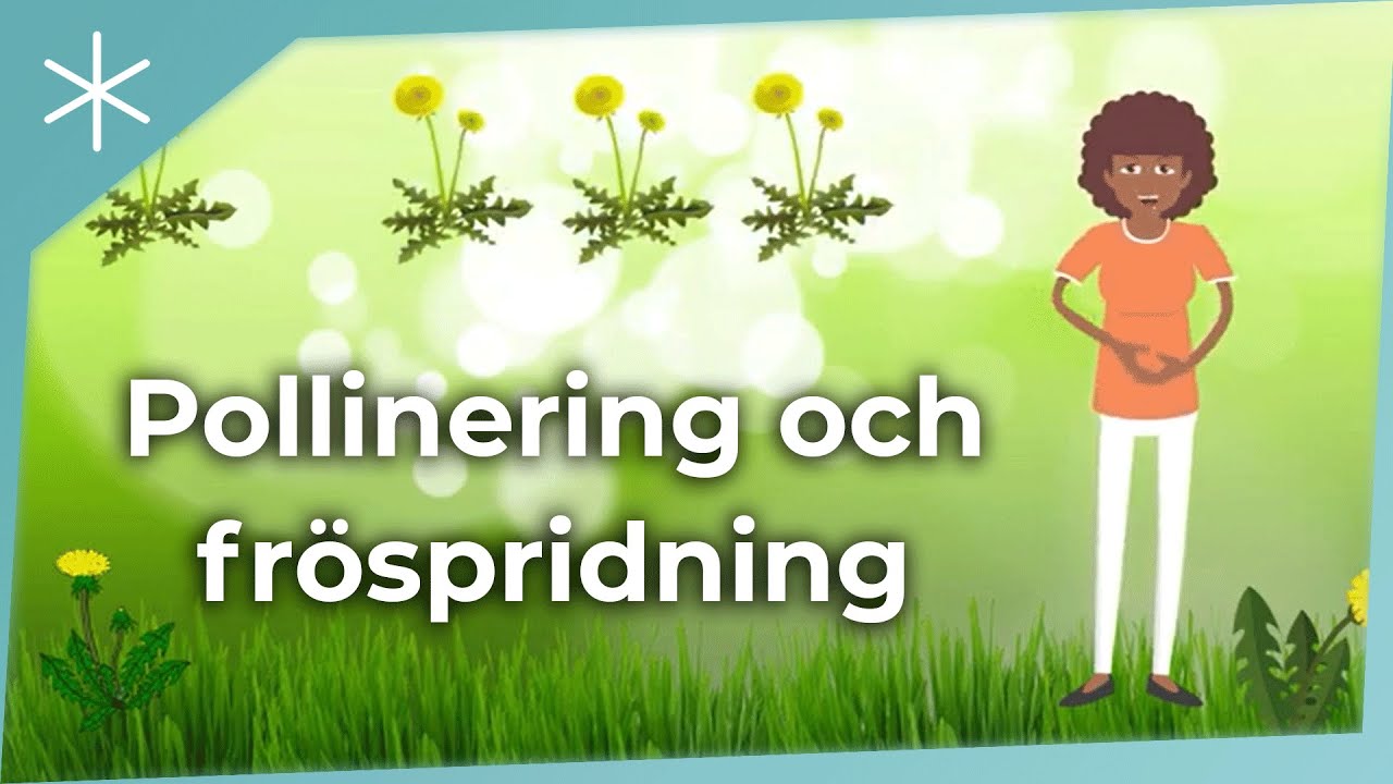 Pollinering och fr&ouml;spridning