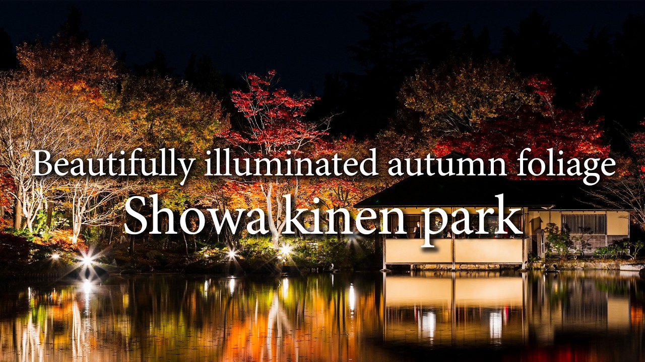 【003】フォトムービー　昭和記念公園  ライトアップの紅葉｜Showa Memorial Park 
