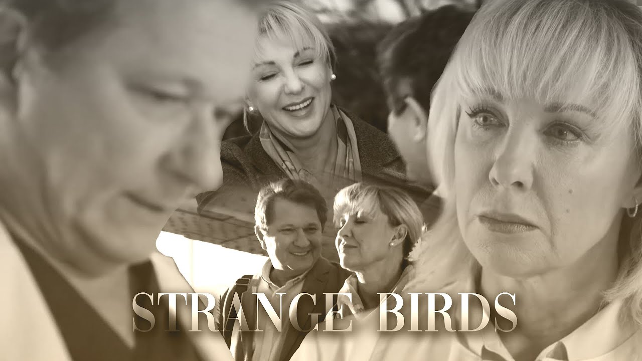 Павлова и Кривицкий - Strange Birds | Склифосовский