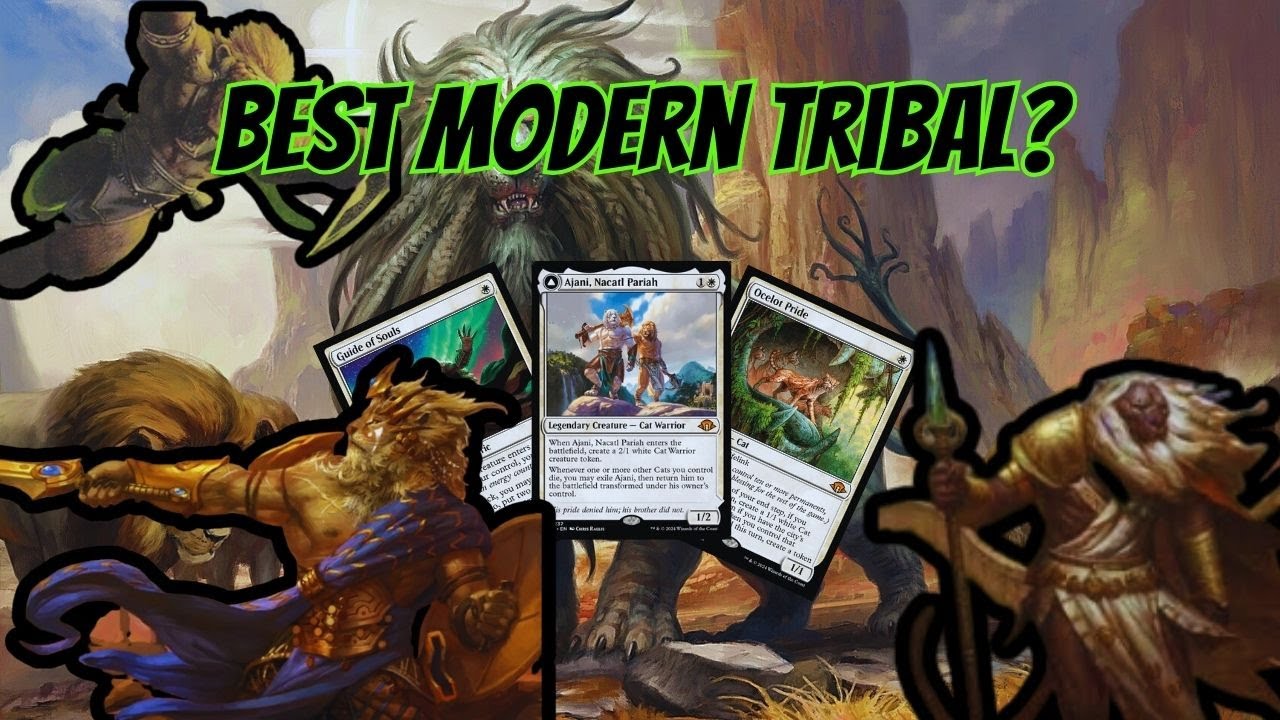 BEST TRIBAL? |  Cuteness overload Modern CATS | Modern FND | MTGO Gameplay