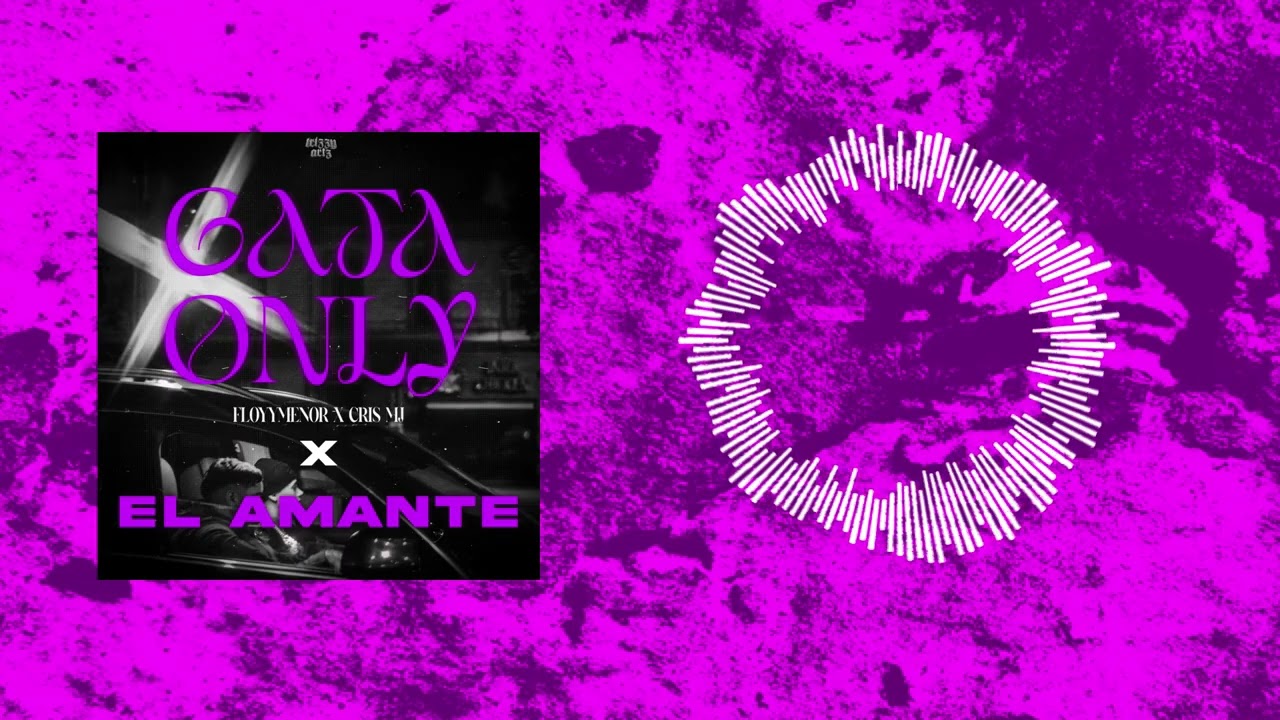 MASHUP DJ | GATA ONLY X EL AMANTE (FloyyMenor x J Alvarez x Daddy Yankee) | MPacheco