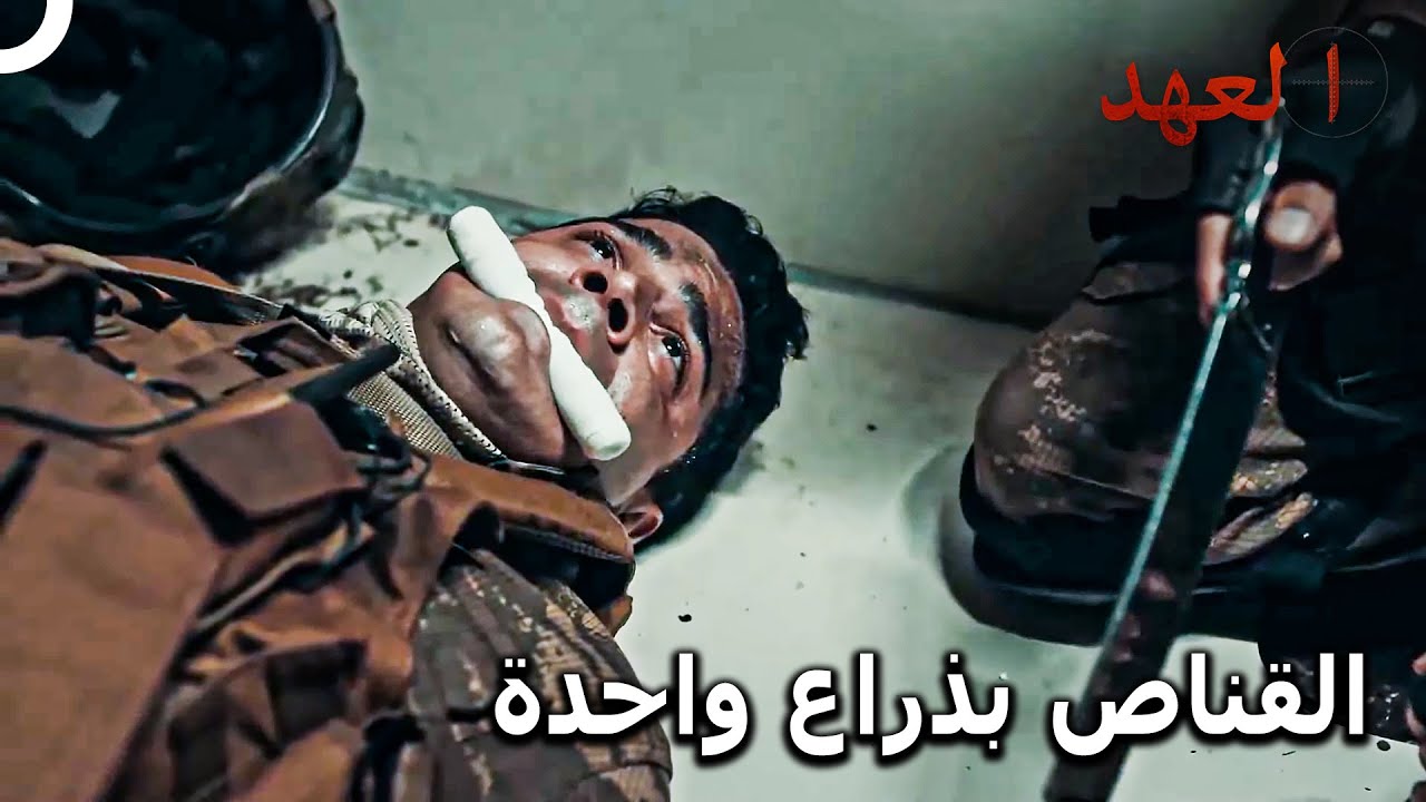 الصياد #8 - ألا يمكنني لمس غونجا من جديد؟ | العهد