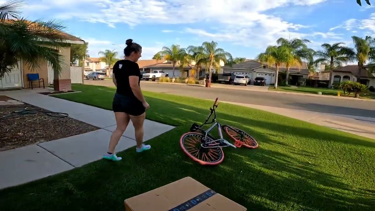 THE BEGINNING OR END OF MY SE BIKE BLOCKS FLYER EBIKE CONVERSION