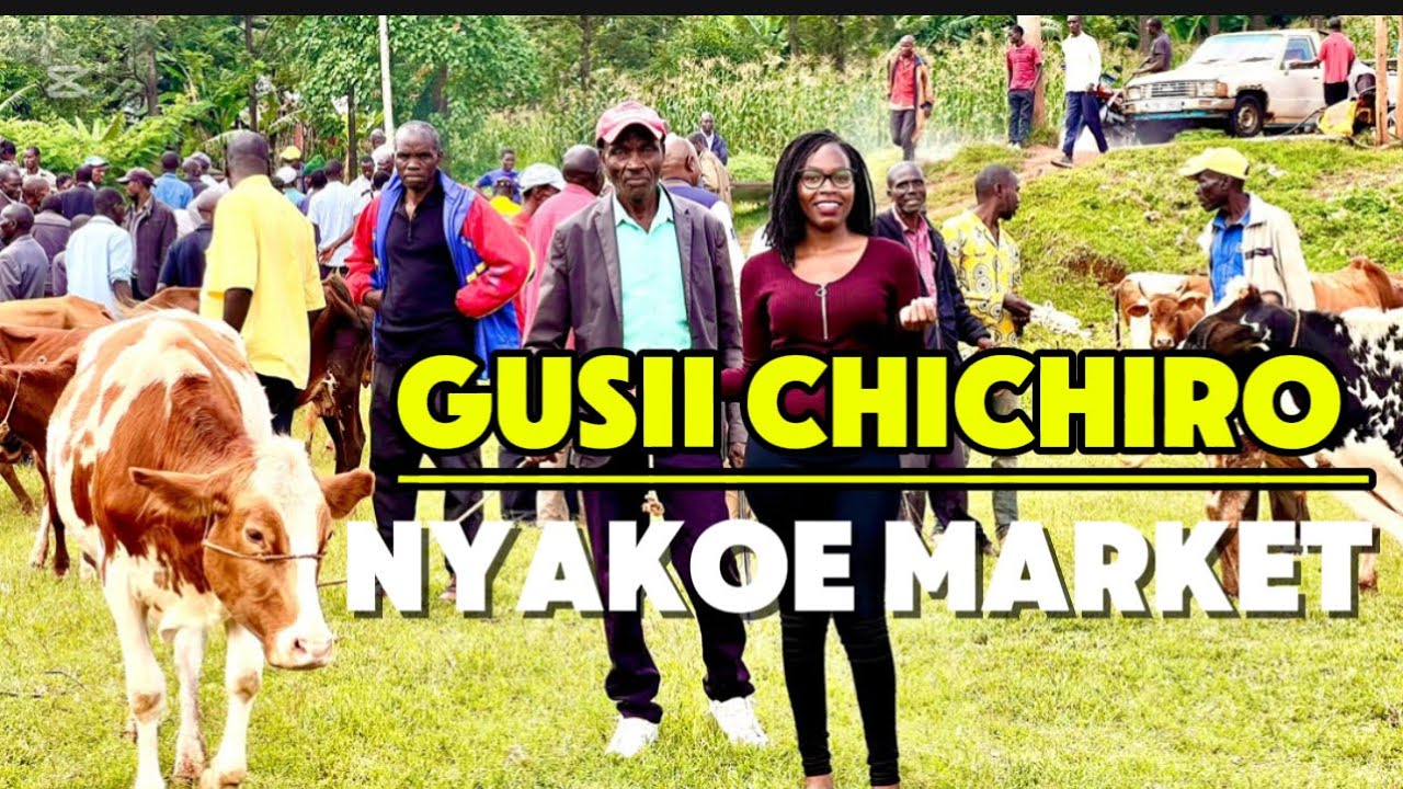 INSIDE NYAKOE CATTLE MARKET!! OUR MARKETS OUR PRIDE || GUSII CHICHIRO @KISIICONNECT1 #CHICHIROCONECT