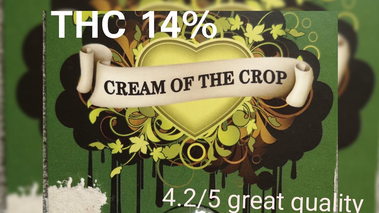 Episode one: Amphetamine Auto by Cream of the Crop Review