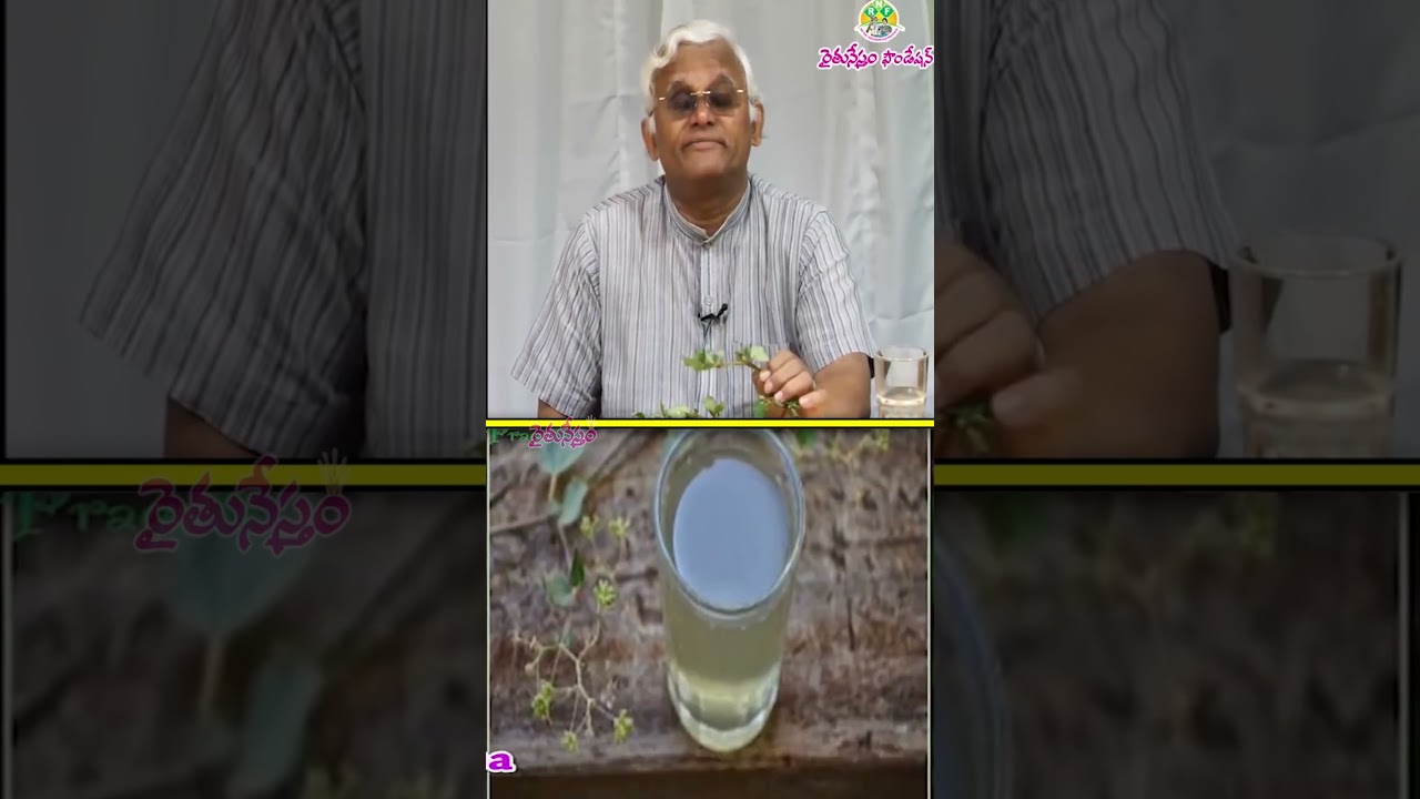 Kidney వ్యాధులకు దేవుడు ఇచ్చిన Medicine ఇది #health #food #khadervali #raitunestham