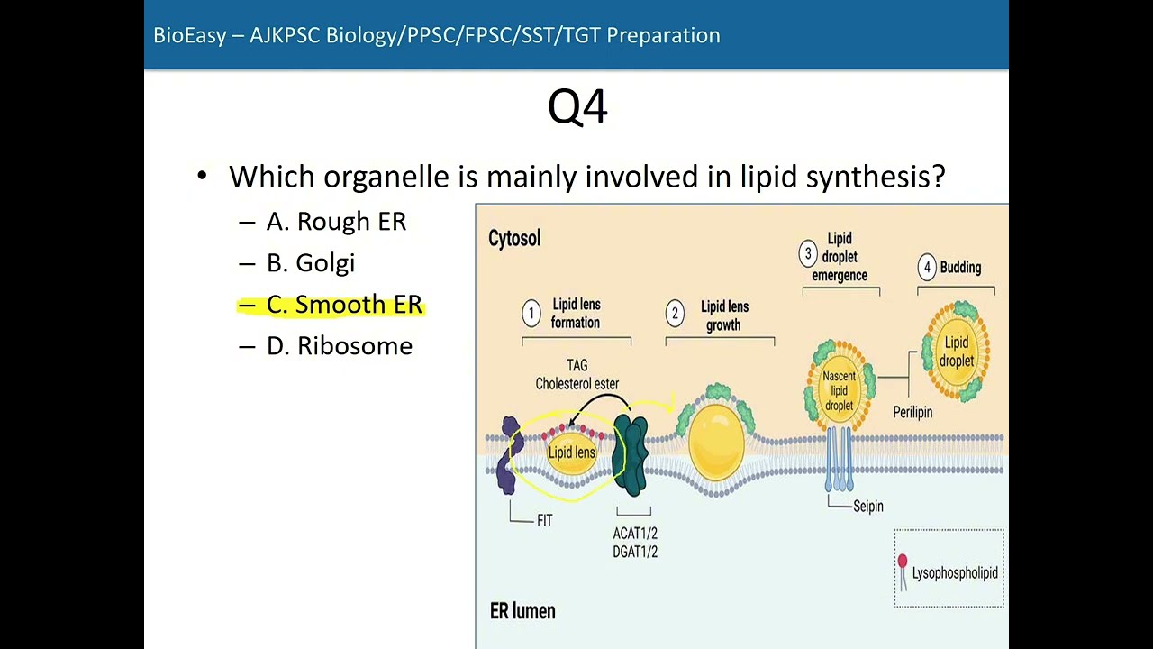 Cellular Functions | 30 MCQs with Answers | Biology for AJKPSC | NTS | PPSC | FPSC | FGEI |TGT | SST