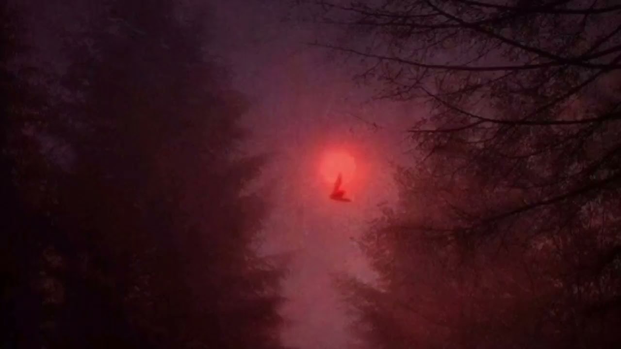Grouper - Poison Tree (speed up)