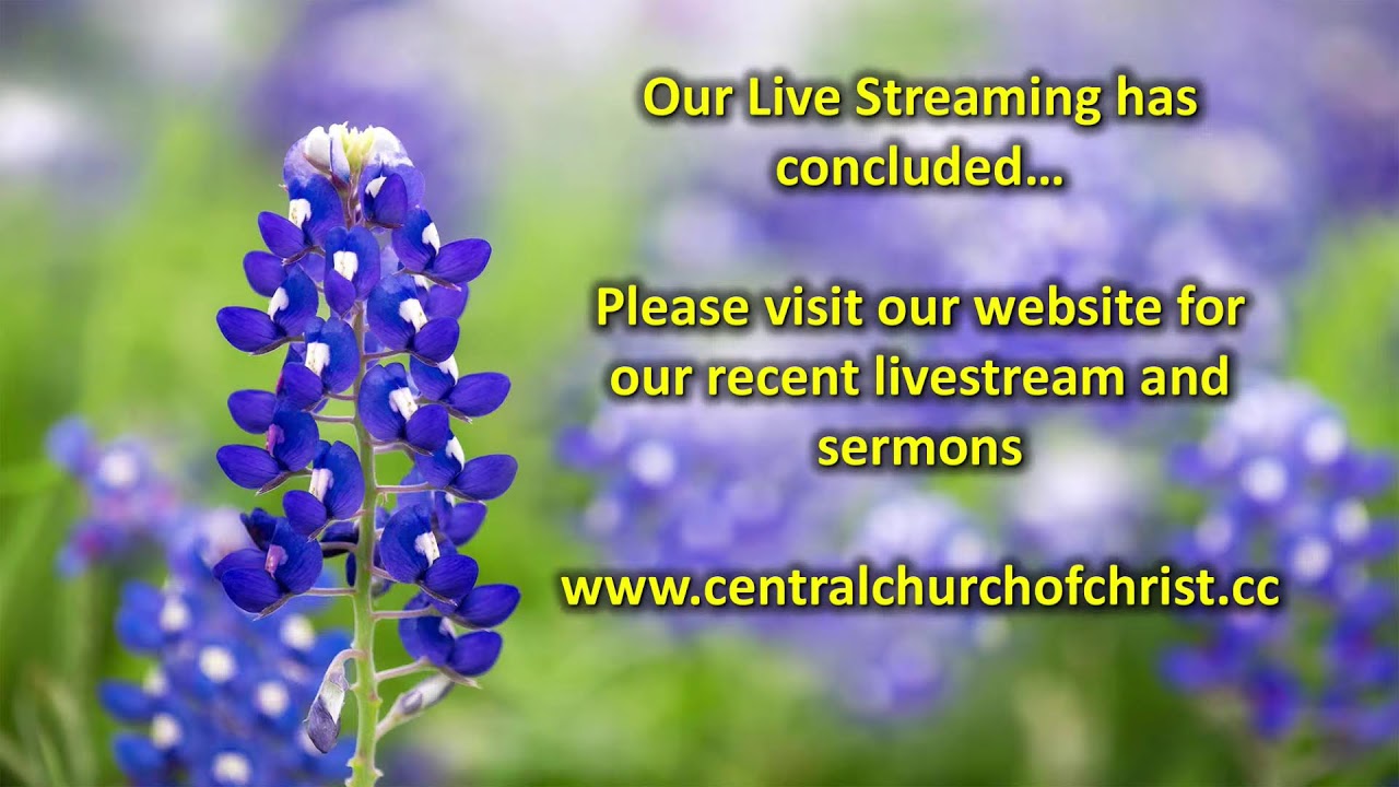 Live Stream Evening September 5 2021