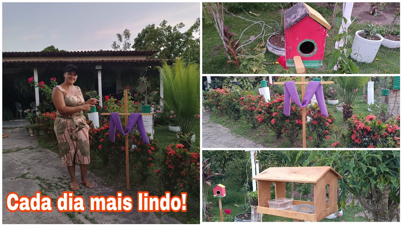 Meu jardim cada dia mais lindo com decorações simples e muita criatividade.