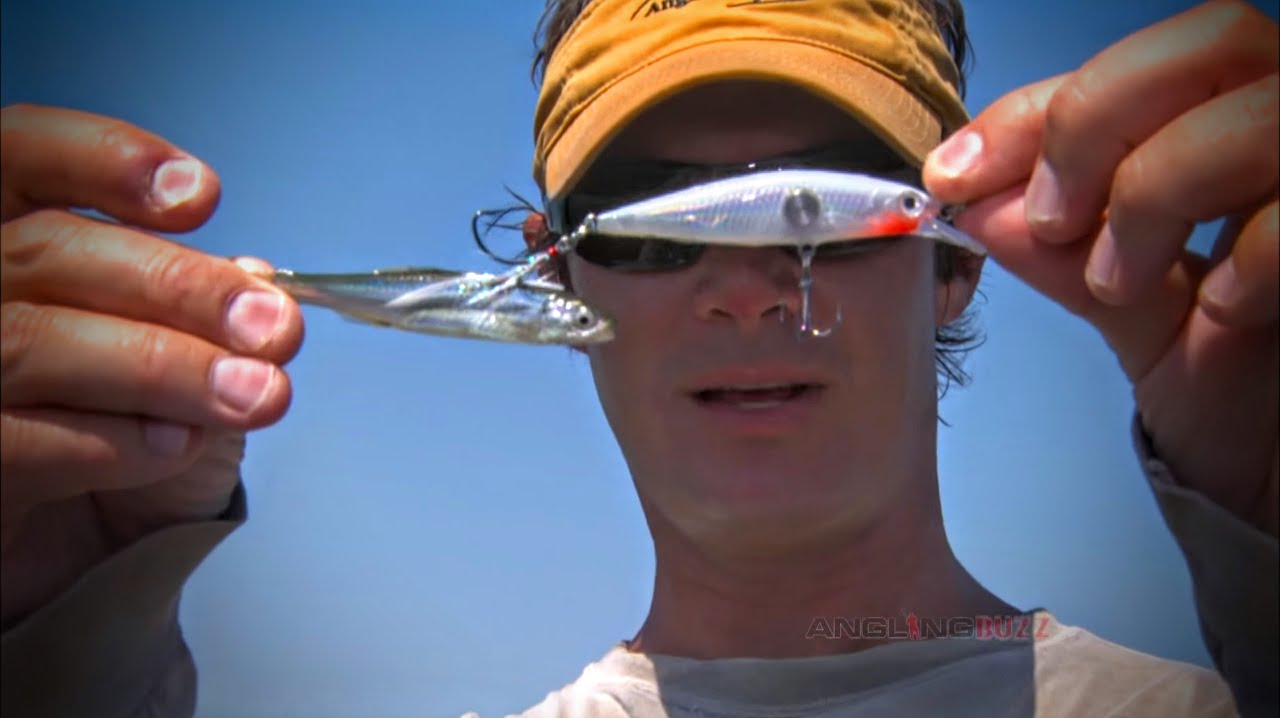 White Bass Postspawn Surface Tactics and Behavior