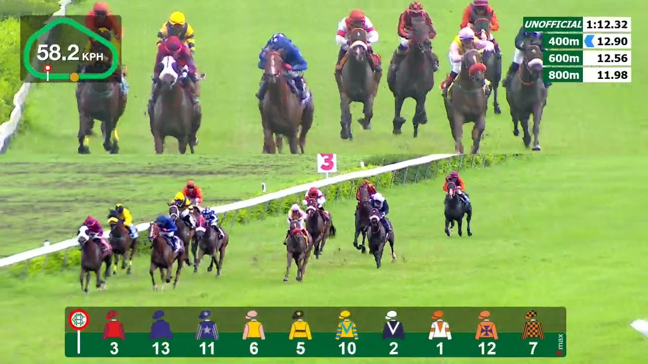 HRC RACES 31ST AUGUST 2025 RACE 5