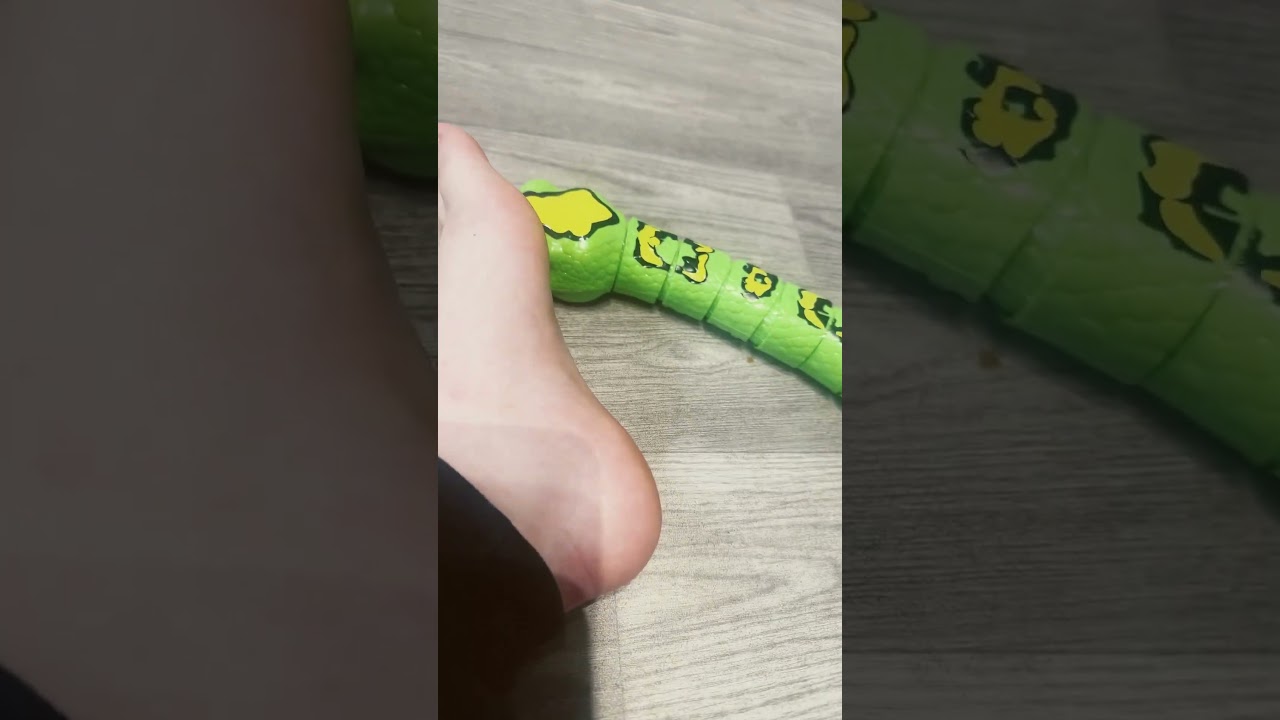 !THIS IS A ROBOT! I WOULD NEVER DO THIS TO A REAL SNAKE!