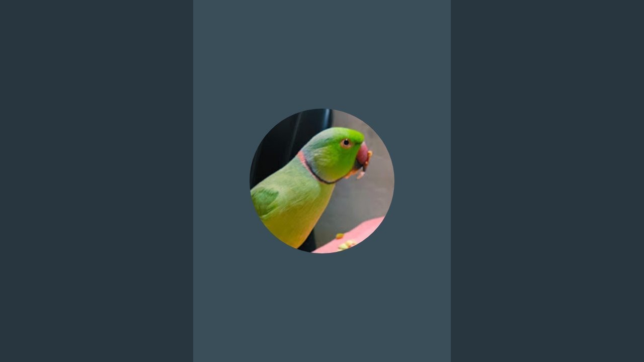 JagguFamily1 is live