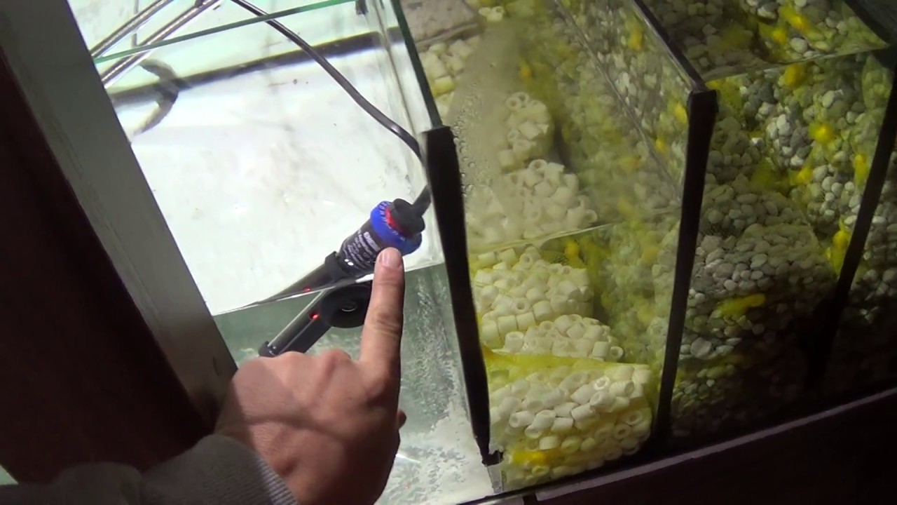 Dicas para aquário com sump, bota e iluminação Aquário de 980 litros (com sump)