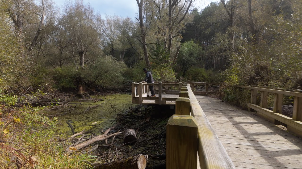 Adventuring On My Own