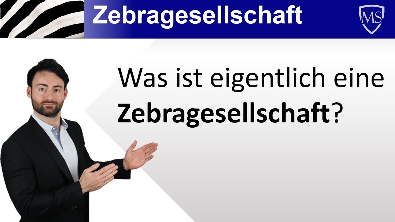 Zebragesellschaft | Was ist eigentlich eine Zebragesellschaft?​​