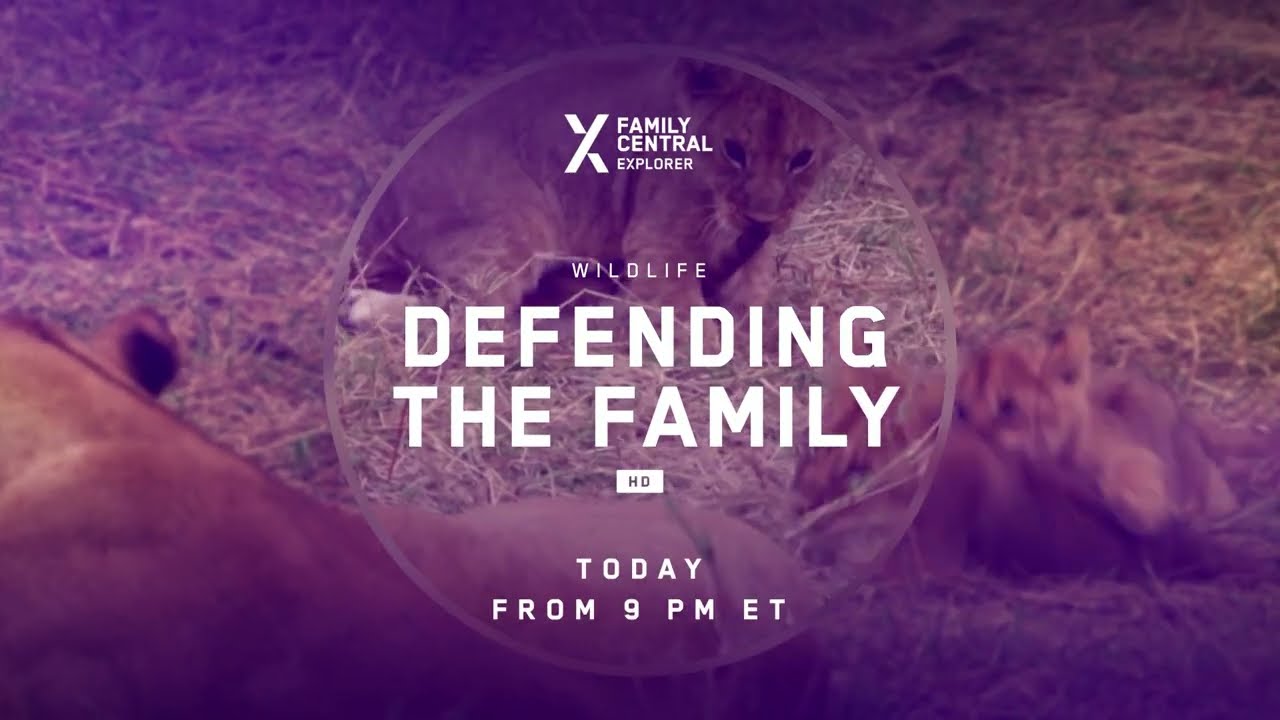 Defending the Family