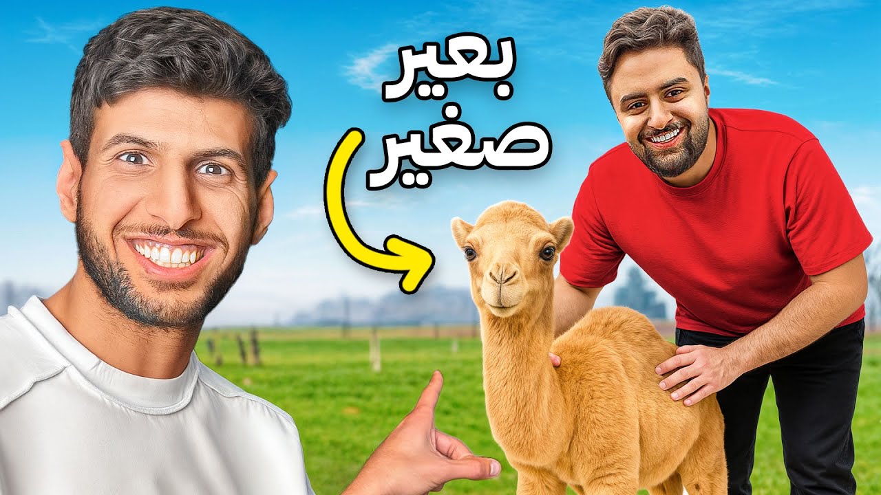 حققت اماني اعضاء باور ( بعير صغير !!🐪)
