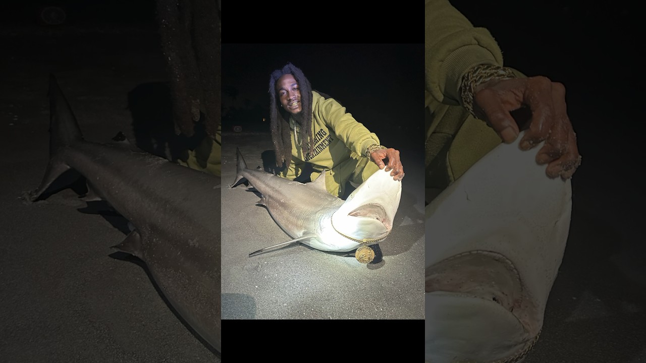 Sharks fear me 💯🥇🦈 #hoodfishing