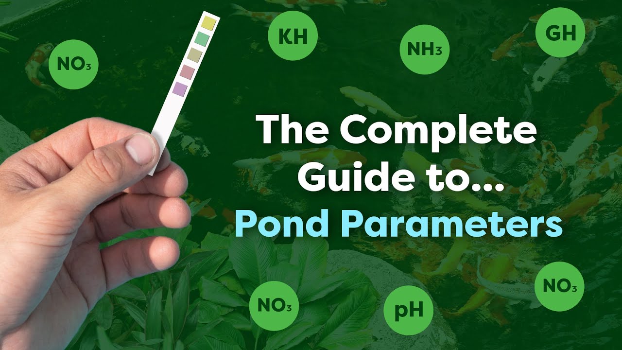 A Complete Guide to Monitoring pH, Nitrates & Other Pond Parameters