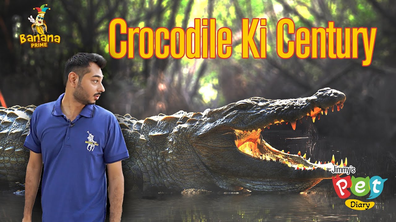 Crocodile Century | Episode # 4 | Jimmy’s Pet Diary | Banana Prime