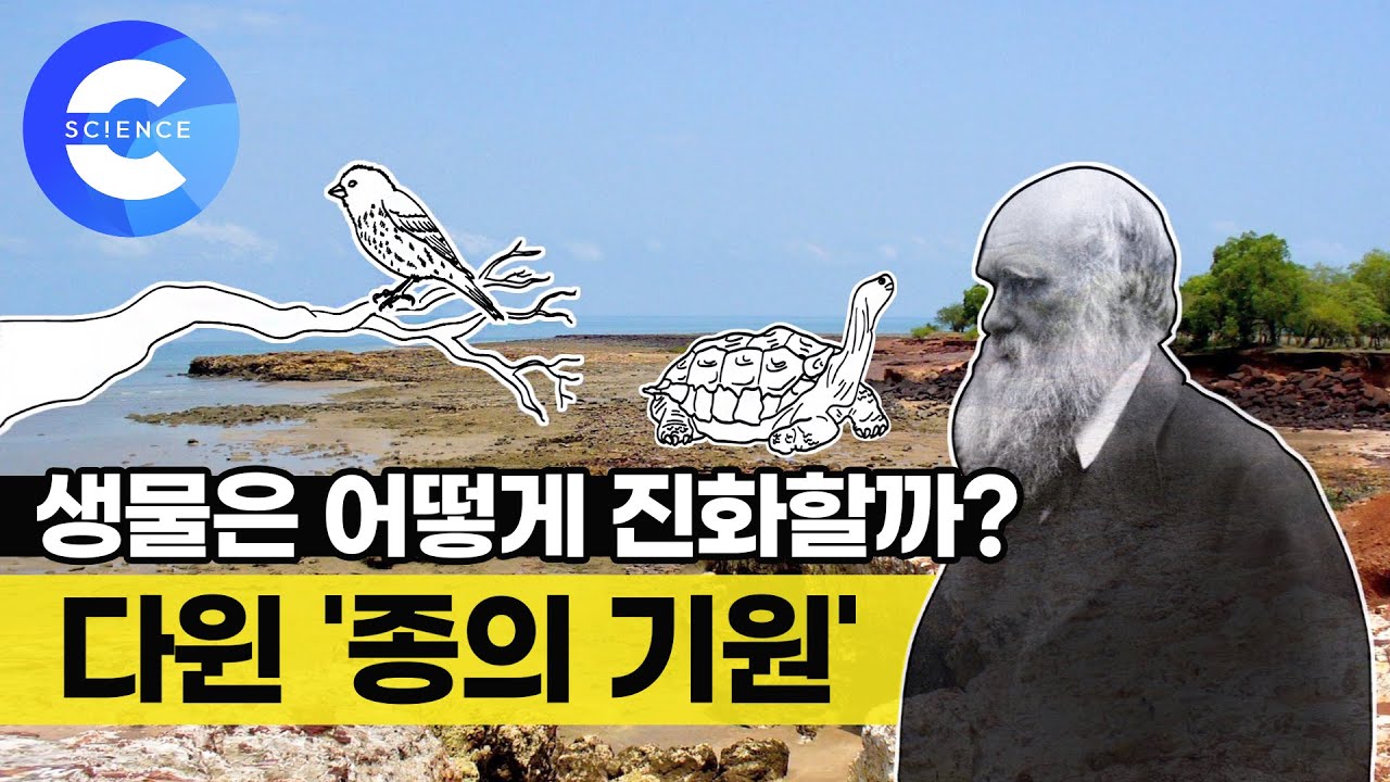 '한 컷의 과학' 생물은 어떻게 진화할까?