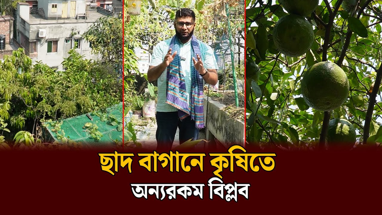 কম খরচে ছাদ বাগান করে সফল বাগানীর গল্প | Sad Bagan | Brs Times Inside Story
