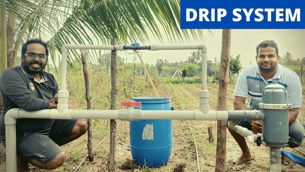 சொட்டு நீர் பாசனம் அமைக்கும் முறை Setting up a drip irrigation system.