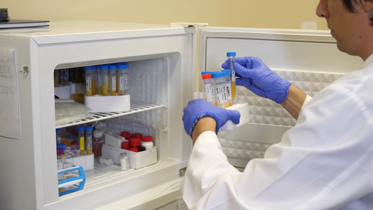 Is this stem cell fraud?