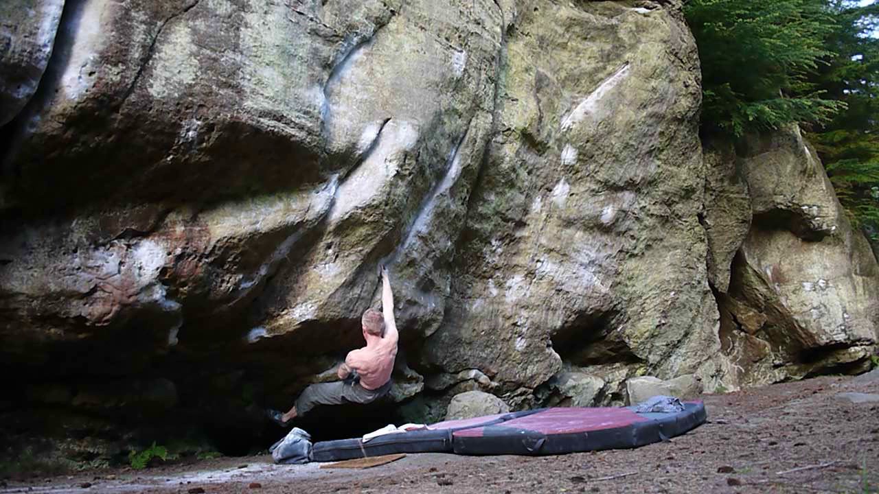 Yorkshireman Sitstart Kyloe in the Woods