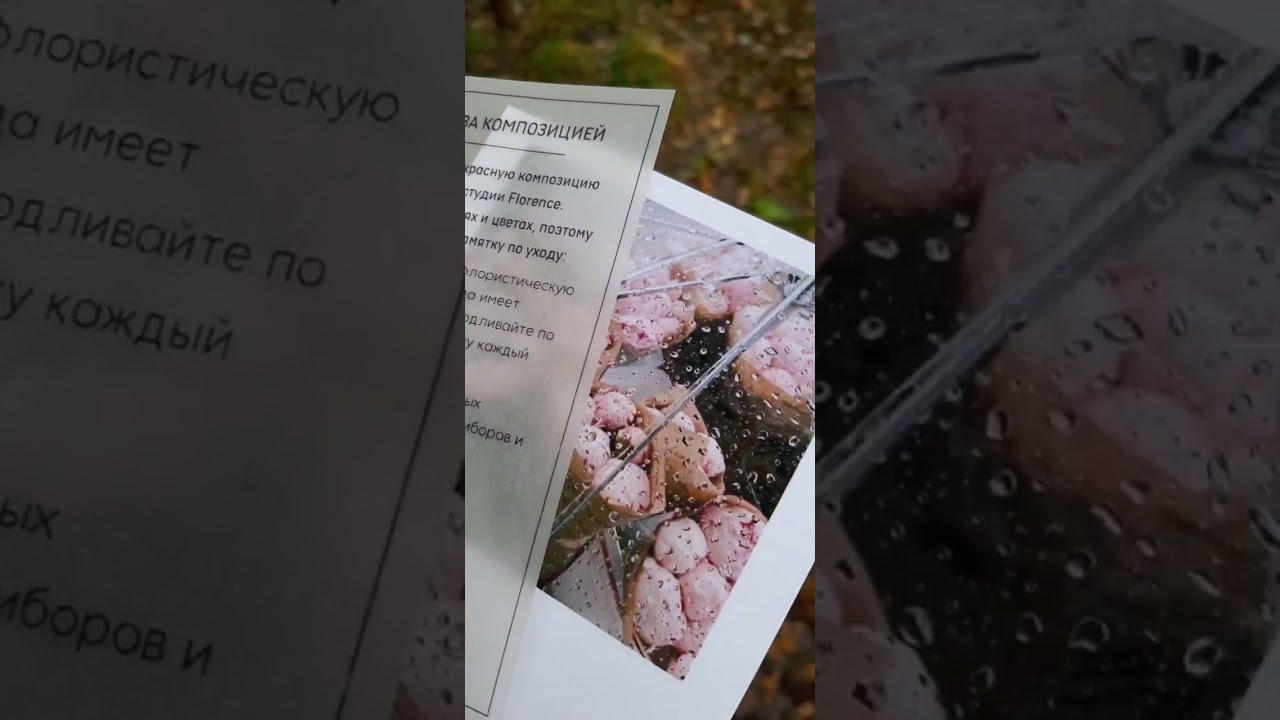 Красивые и нежные из кальки  открытки для цветочного магазина!💐🥰