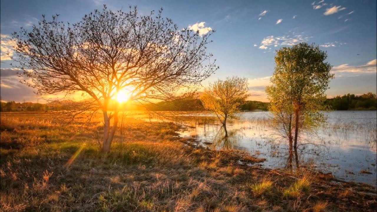 Dmitry Molosh & Michael A - Memories (Original Mix)