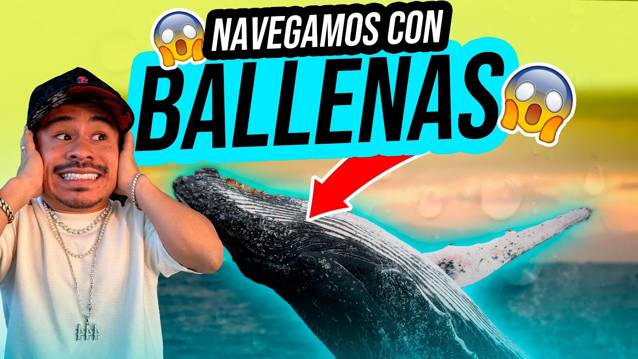 Salimos a Pescar BALLENAS y no CREERAS lo que pasó 😱 /ABELITO