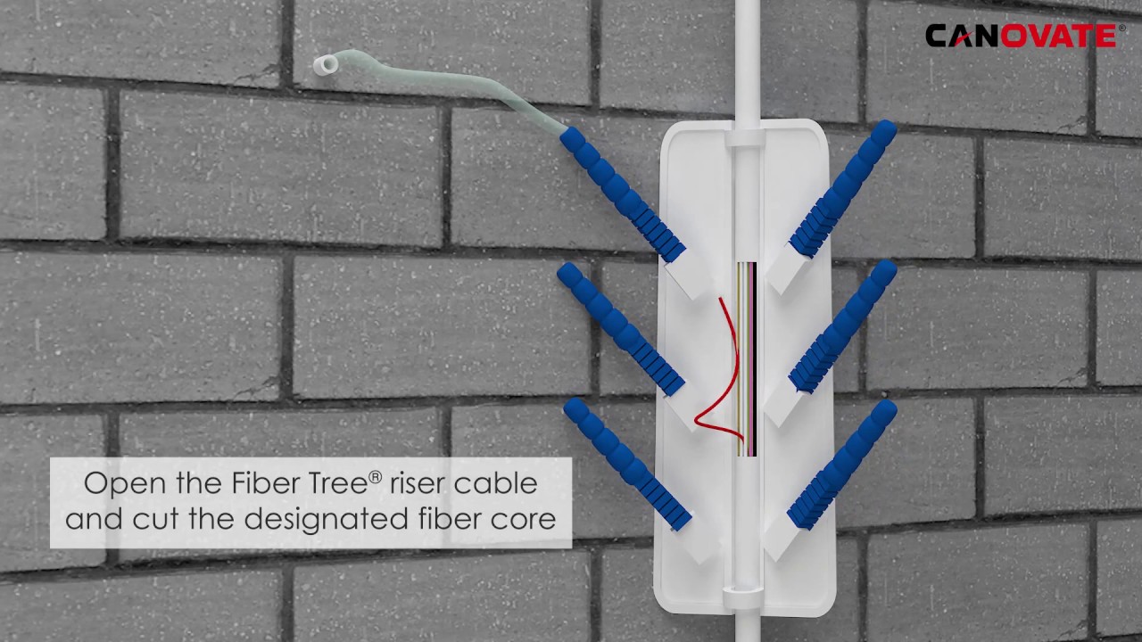 CANOVATE FIBER TREE SYSTEM