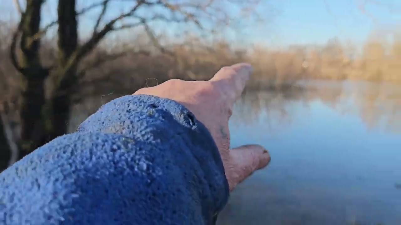 Ставок появився,надія на вологу.