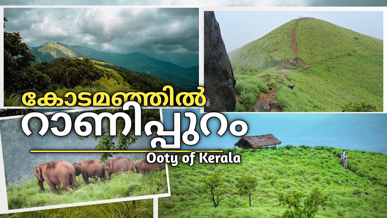 Ranipuram hill station in kasaragod, kerala | Ranipuram vlog | Kasaragod tourist places / trekking