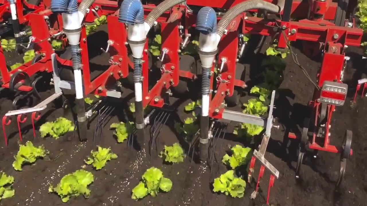 Steketee Triple Bed Weeder with Monosem Front Mounted Fertiliser Applicator