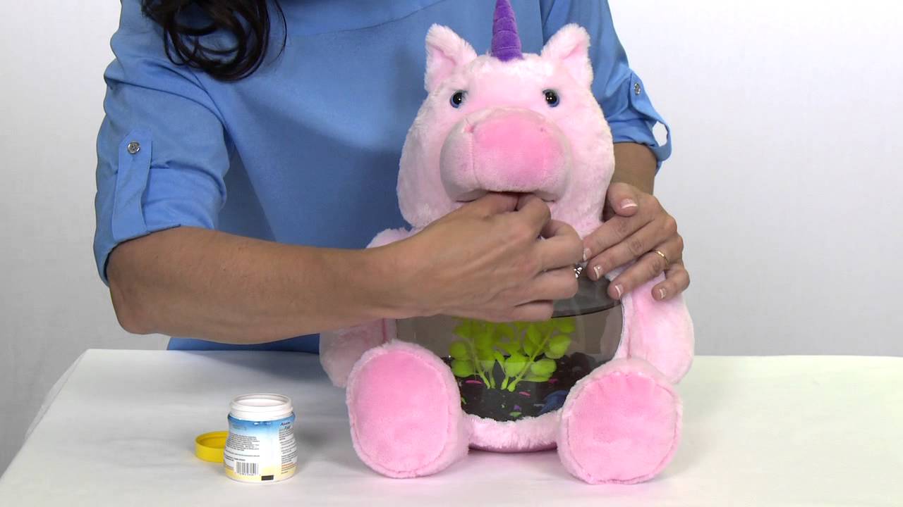 Teddy Tanks Instructional Video