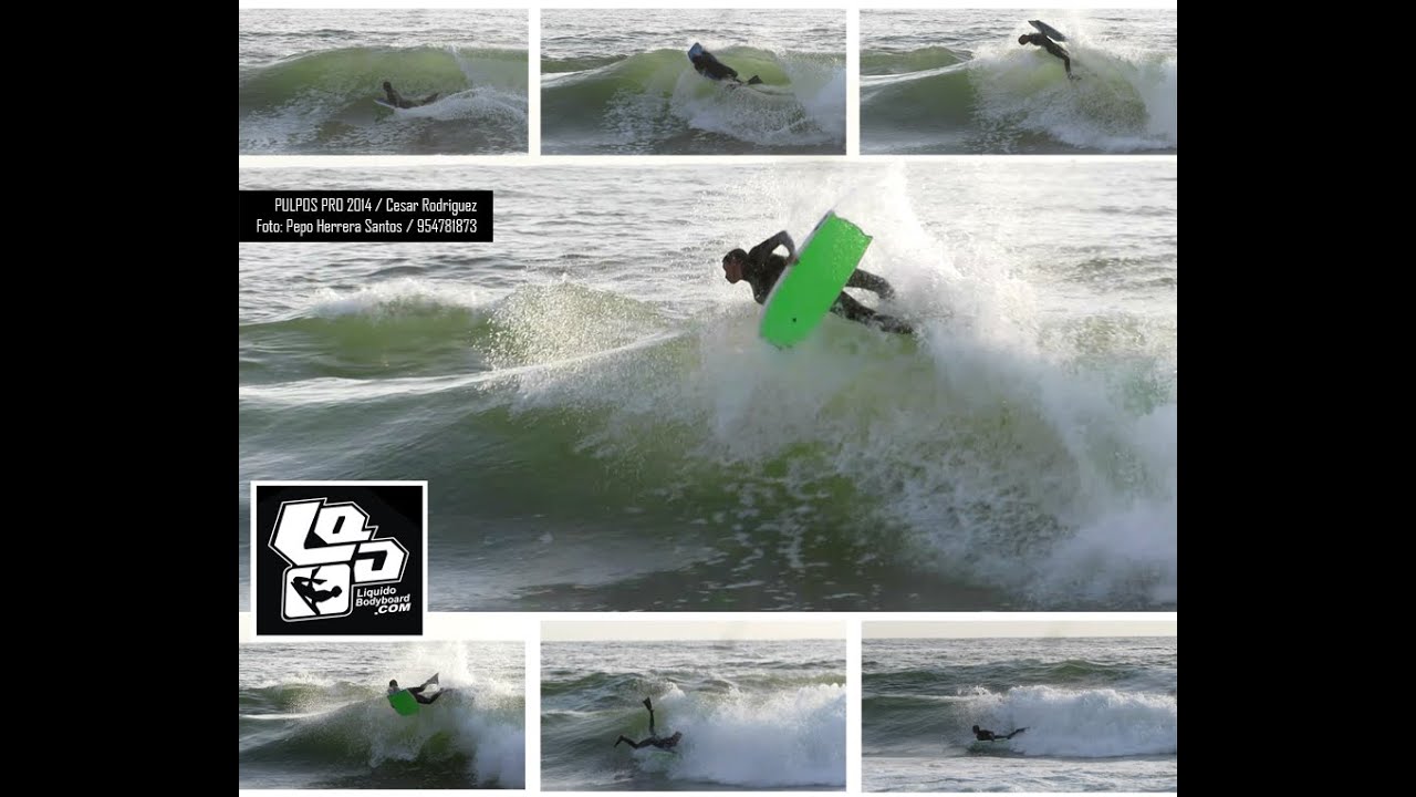 PULPOS PRO 2014