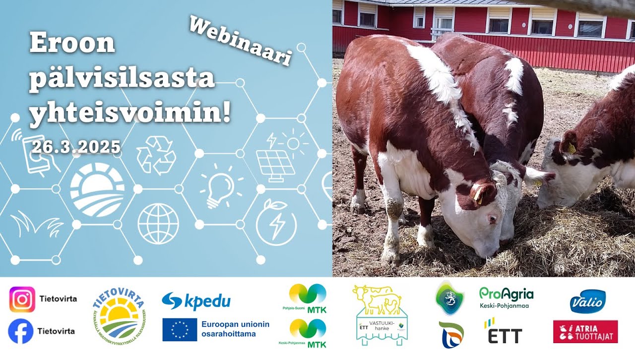 Eroon pälvisilsasta yhteisvoimin! Webinaari 26.3.2025 Tietovirta-hanke