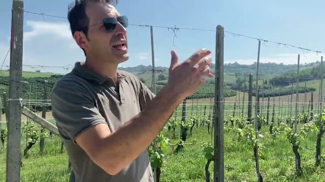 Castello di Verduno, Piemonte: Slow Wine 2023