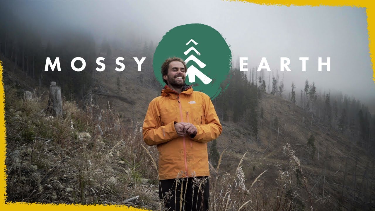How You Can Start Restoring Wild Ecosystems Today