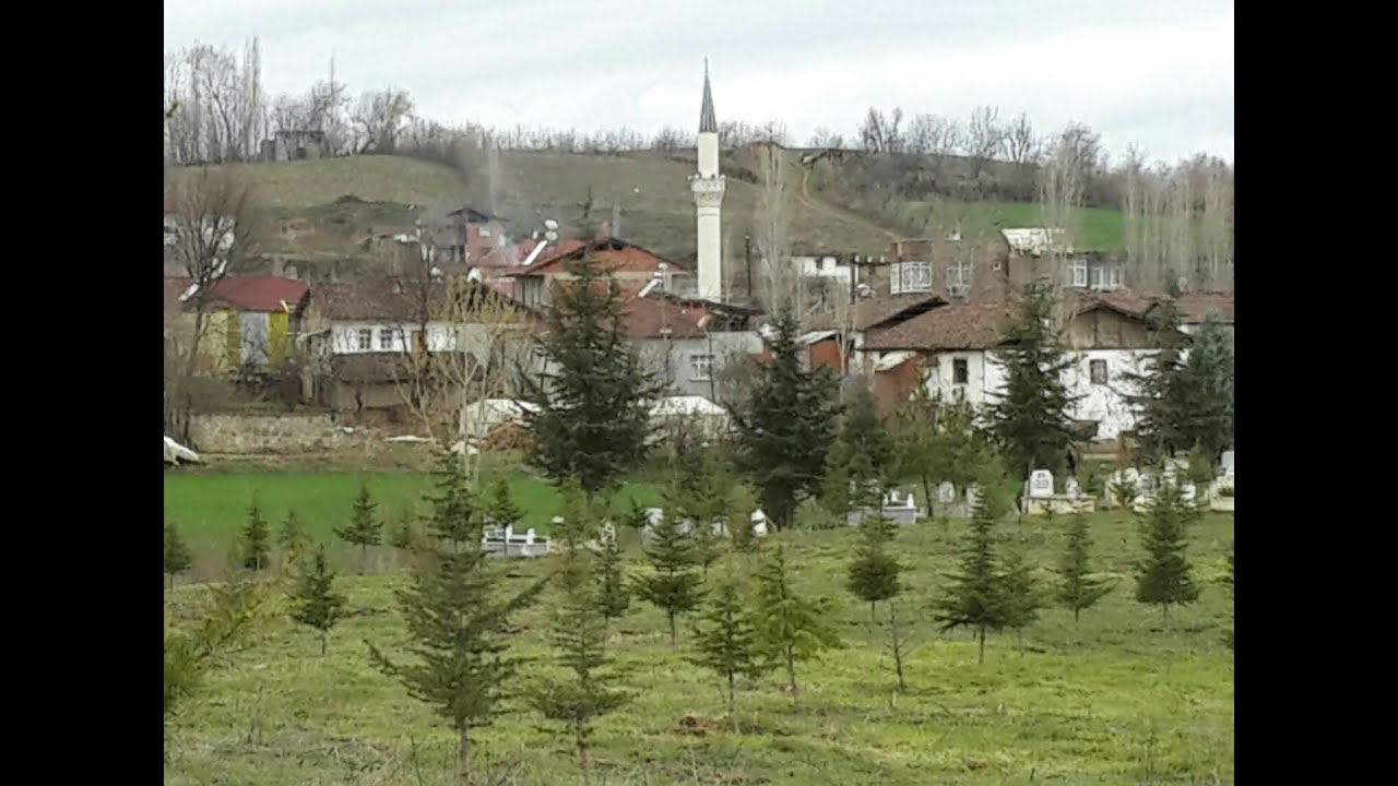 TOKAT ERBAA HACIPAZAR KÖYÜ DERNEĞİ MEZARLIK FİDAN DİKİM VİDEOSU