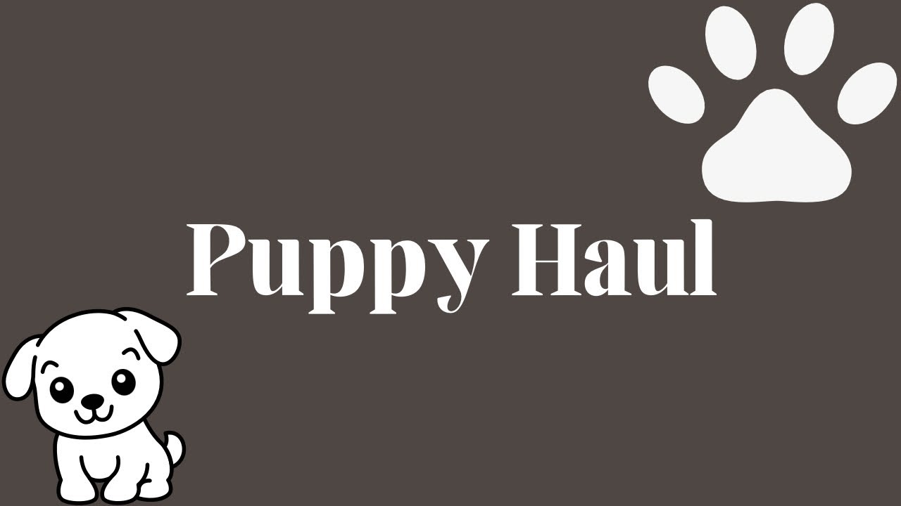 New Puppy Haul! 🐾 Luca the Cavapoo’s First Essentials
