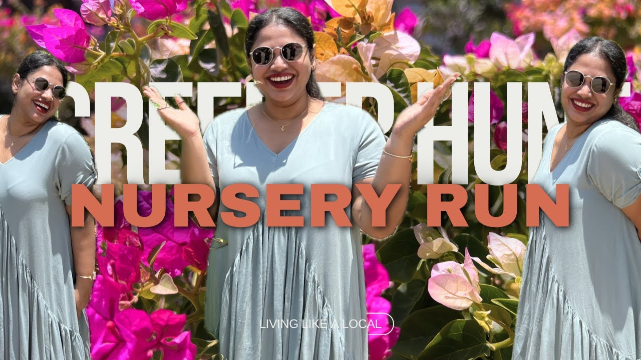 Plant Shopping at Al Warsan Nursery Dubai | Creeper Plant Haul & Nursery Tour!