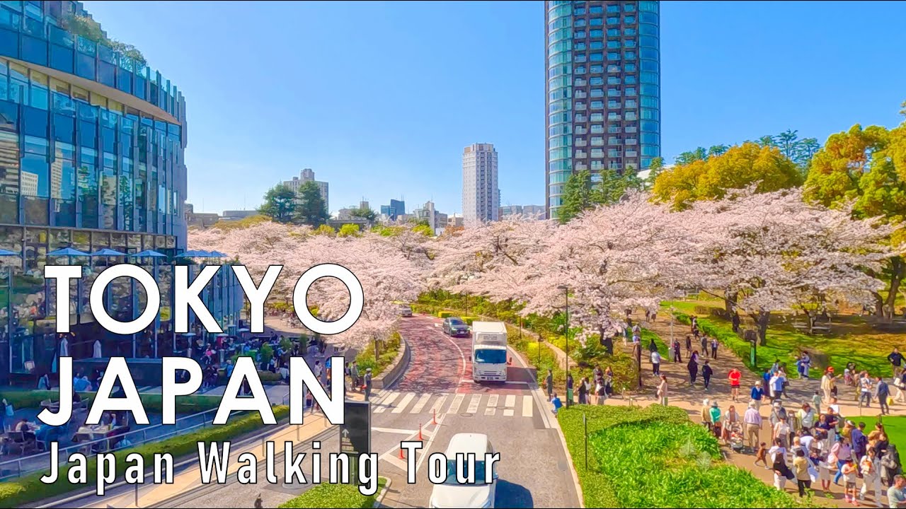 Walking through Tokyo, Japan with cherry blossoms blooming 4K 60fps HDR