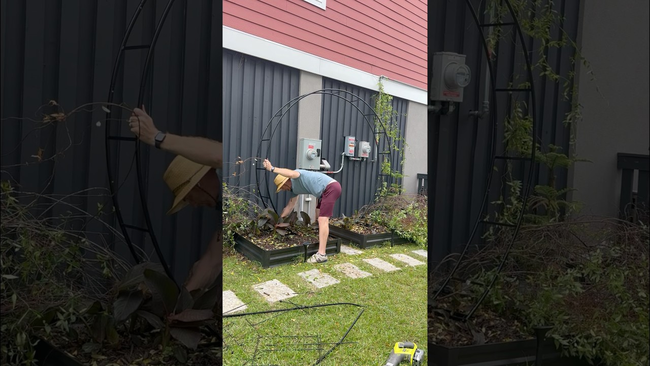 You&rsquo;ve got to check out this garden arch trellis for your yard! #trellis #garden